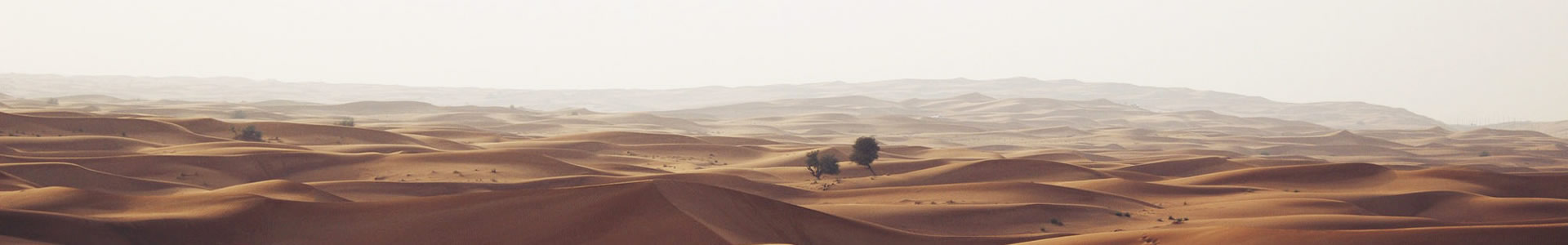 ݵŵƼ޹˾